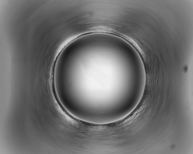 X0000099571387200805161506
