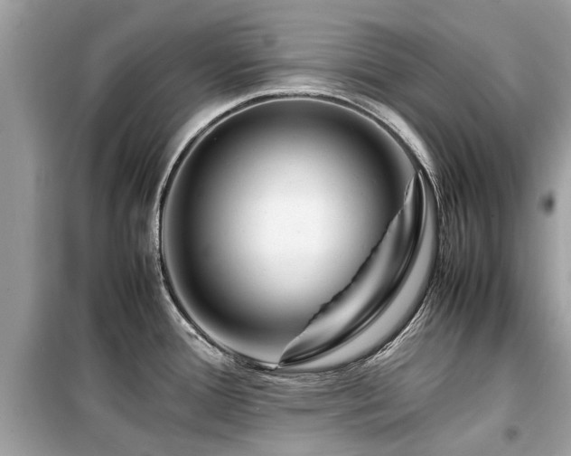 X0000099571388200805161506