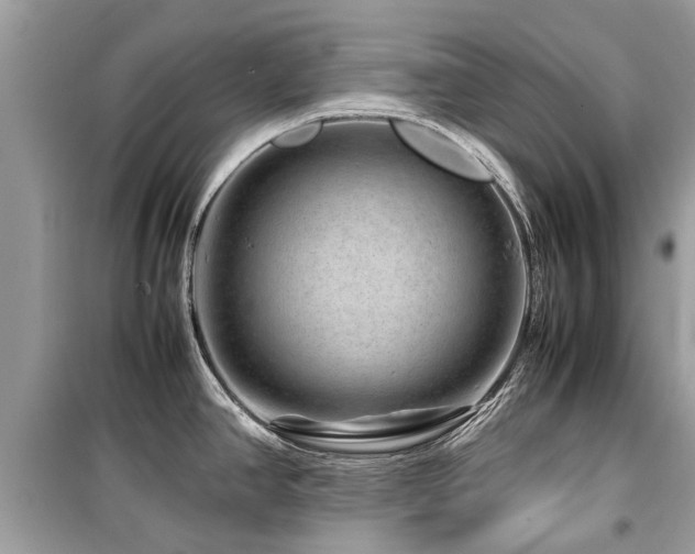 X0000099571390200805161506