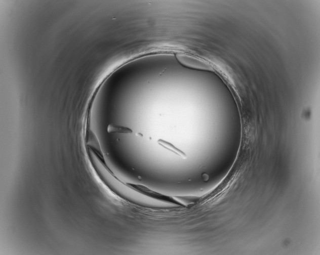 X0000099571391200805161506