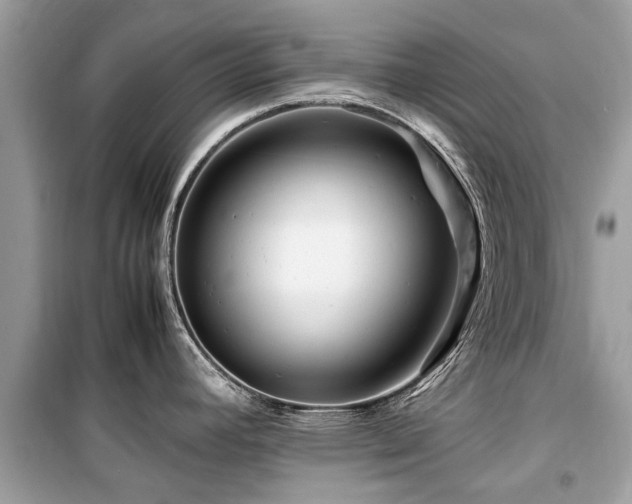 X0000099571392200805161506