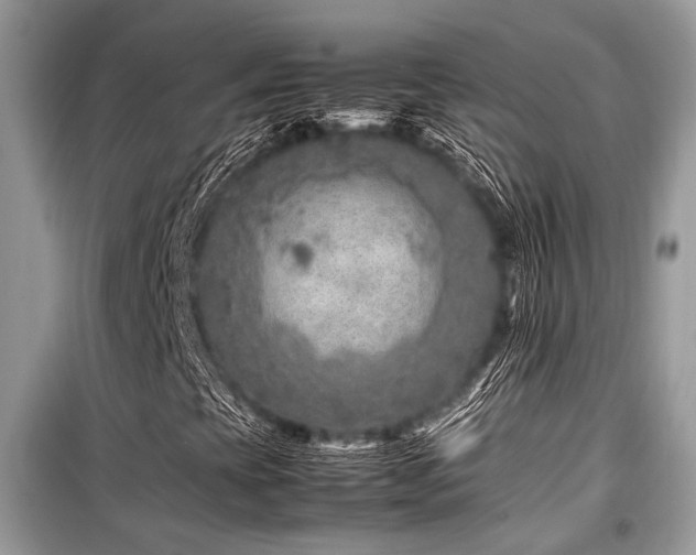 X0000099571393200805161506