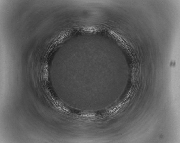 X0000099571394200805161506
