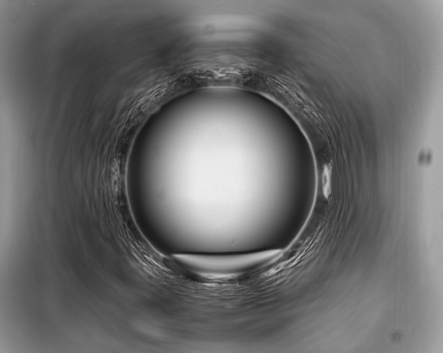 X0000099571395200805161506
