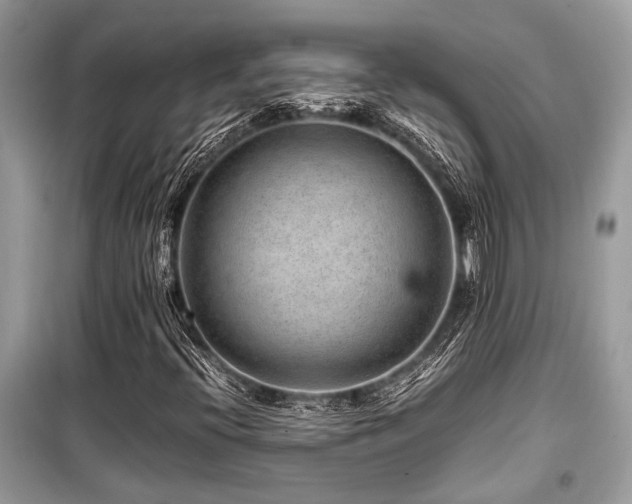 X0000099571396200805161506