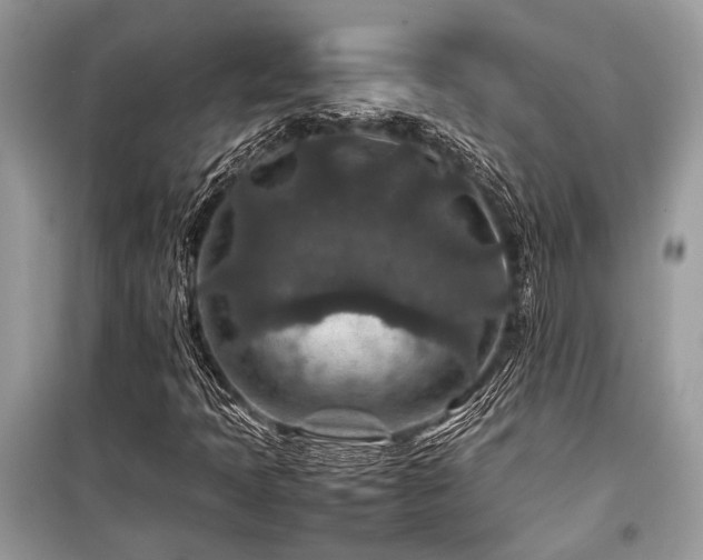 X0000099571397200805161506