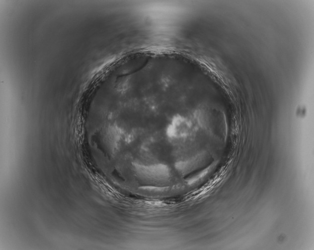 X0000099571398200805161506