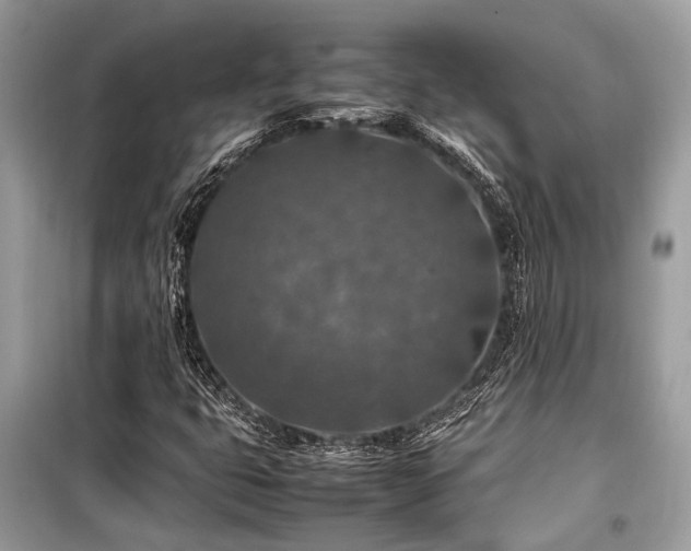 X0000099571399200805161506