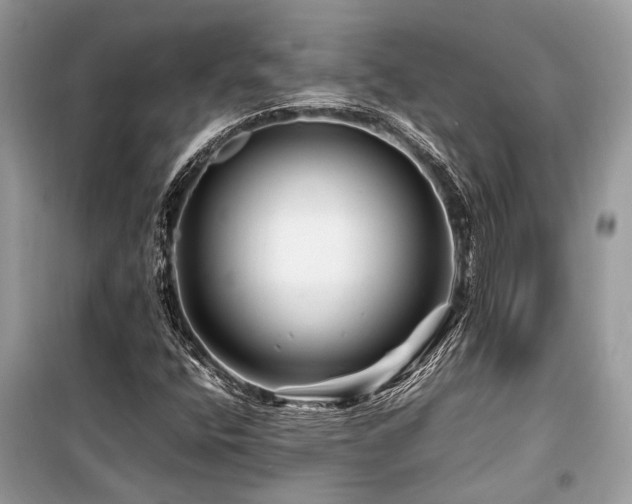 X0000099571400200805161506