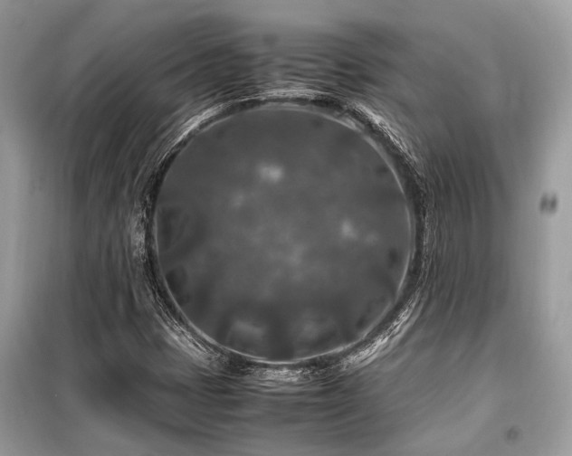 X0000099571401200805161506