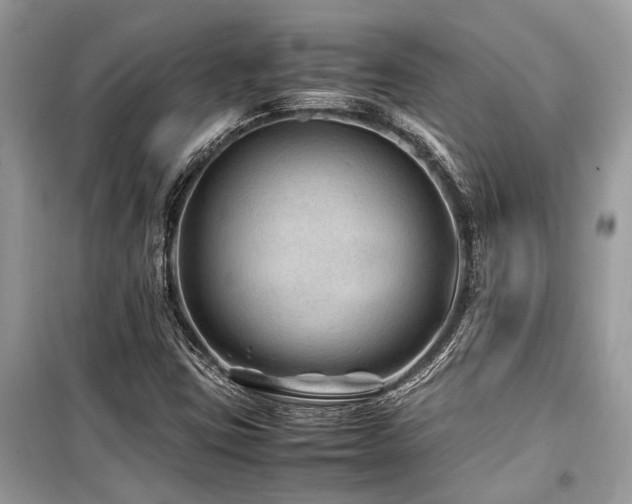 X0000099571403200805161506