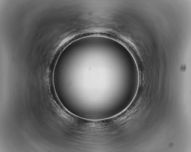 X0000099571404200805161506