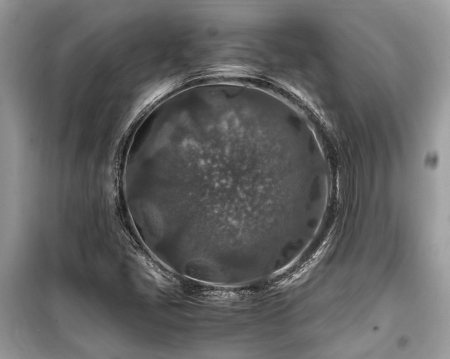 X0000099571405200805161506
