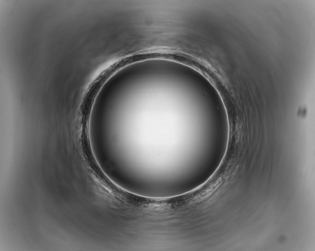 X0000099571406200805161506