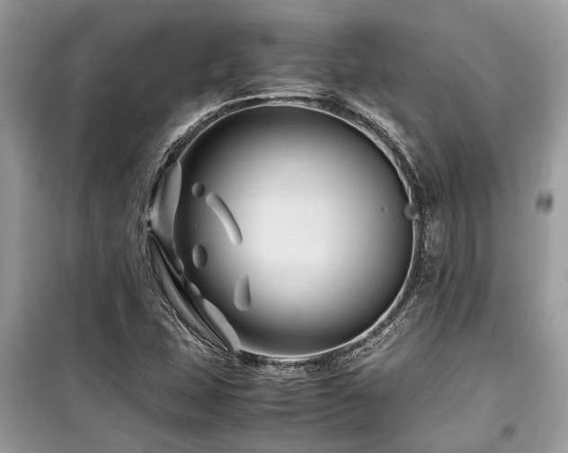 X0000099571407200805161506