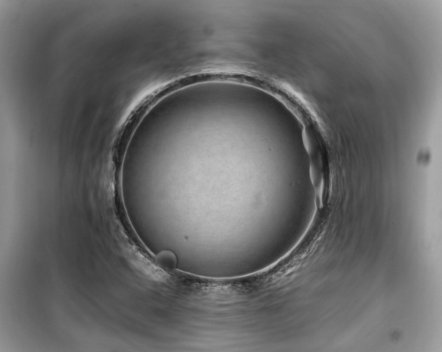 X0000099571408200805161506