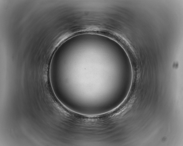 X0000099571409200805161506
