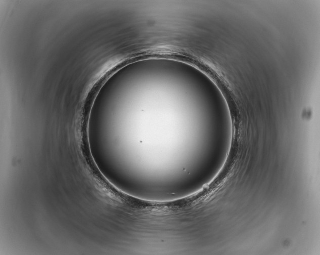 X0000099571410200805161506