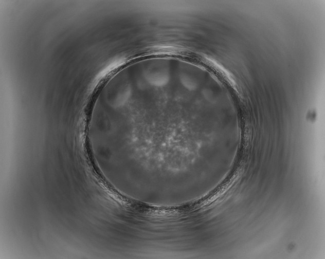 X0000099571411200805161506