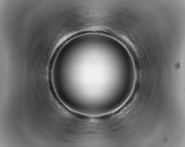 X0000099571412200805161506