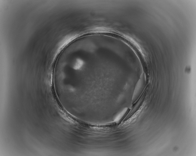 X0000099571413200805161506