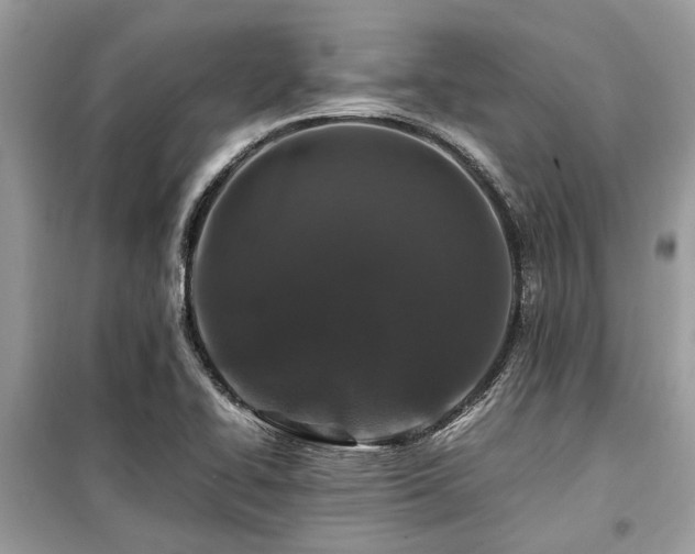 X0000099571414200805161506