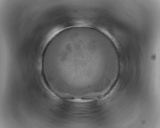 X0000099571415200805161506
