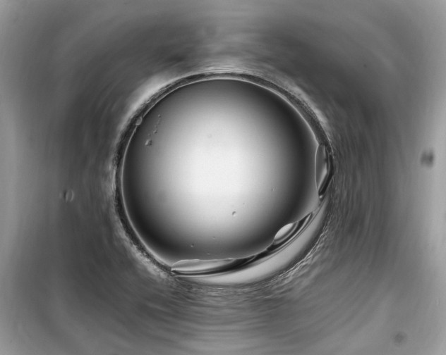 X0000099571416200805161506