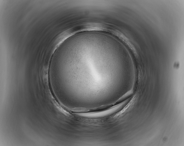 X0000099571417200805161506