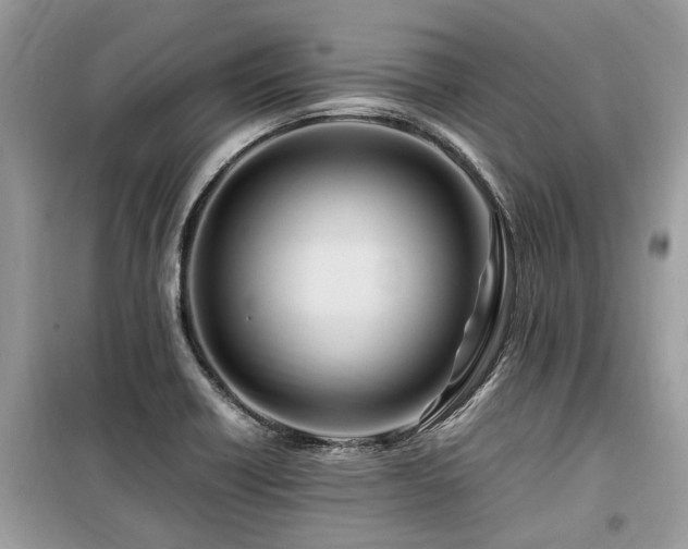X0000099571418200805161506