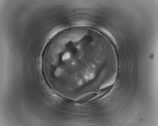 X0000099571419200805161506