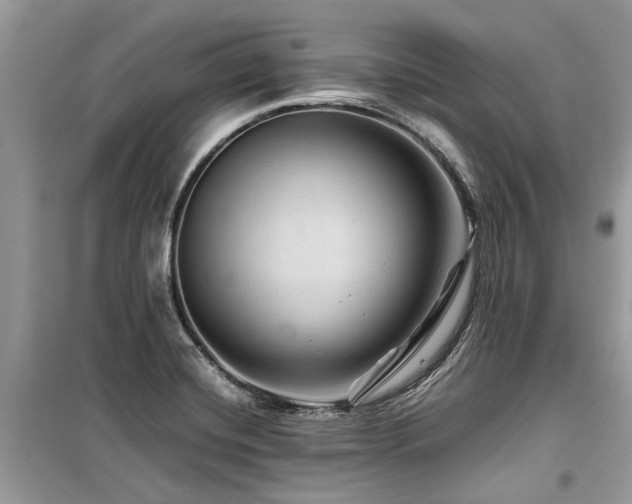 X0000099571420200805161506
