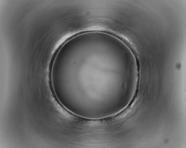 X0000099571422200805161506