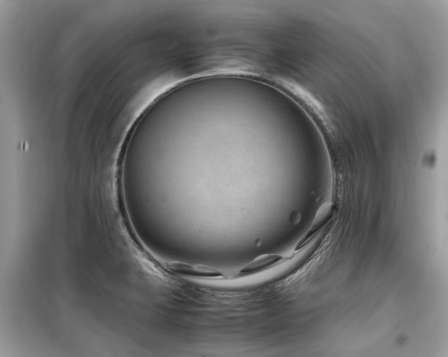 X0000099571423200805161506