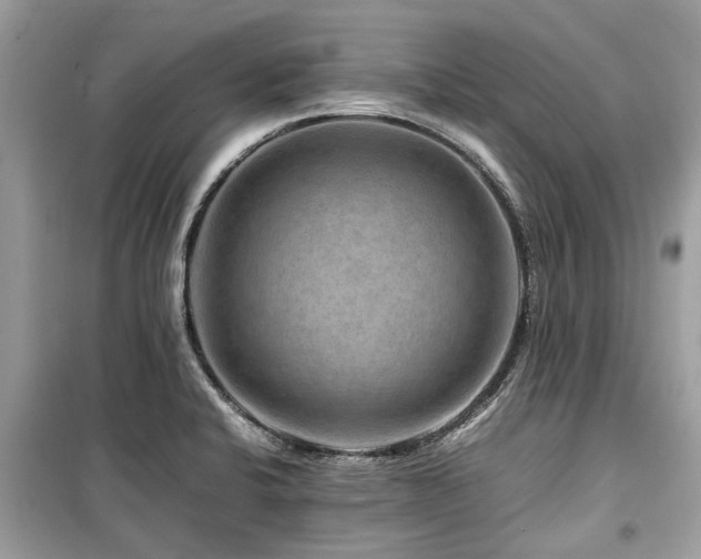 X0000099571424200805161506