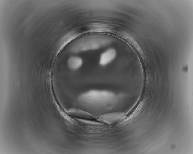 X0000099571425200805161506