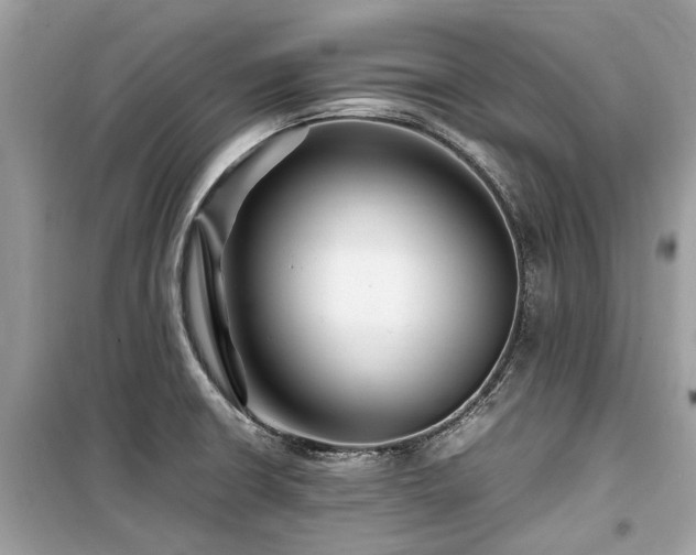 X0000099571426200805161506