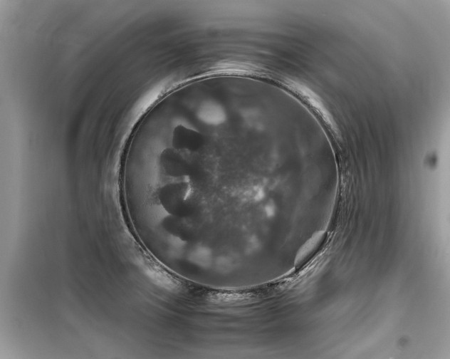X0000099571427200805161506