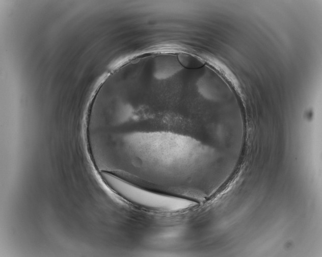 X0000099571429200805161506