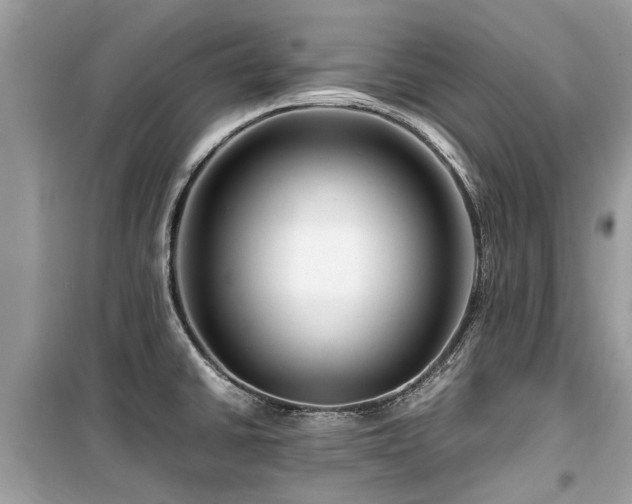 X0000099571430200805161506