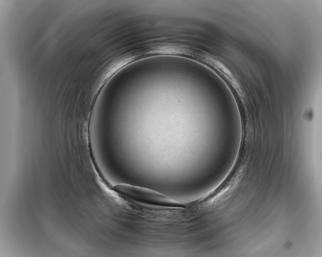 X0000099571433200805161506