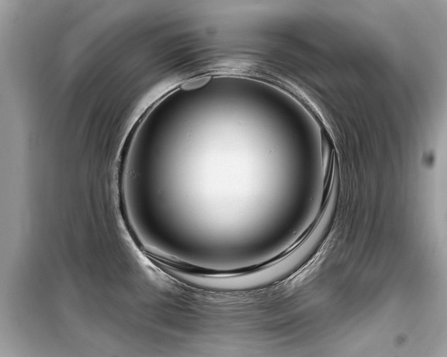 X0000099571434200805161506
