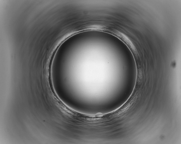 X0000099571435200805161506
