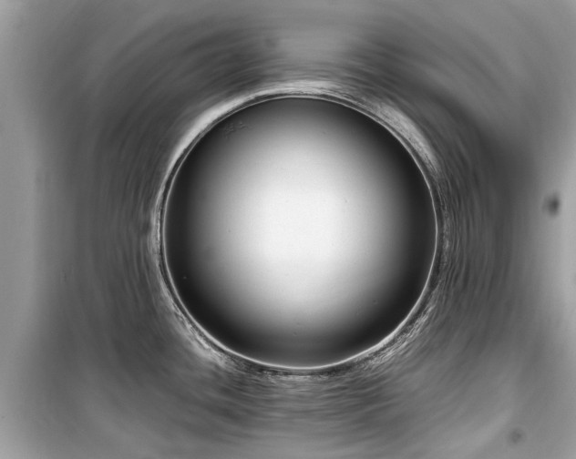 X0000099571436200805161506