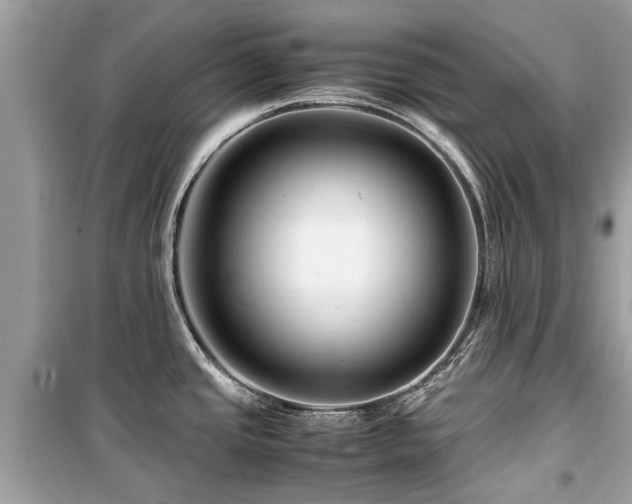 X0000099571437200805161506