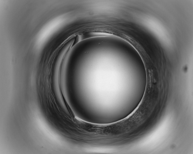 X0000099571438200805161506