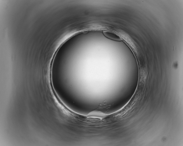 X0000099571439200805161506