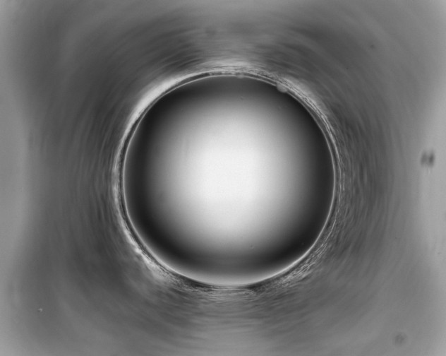 X0000099571440200805161506