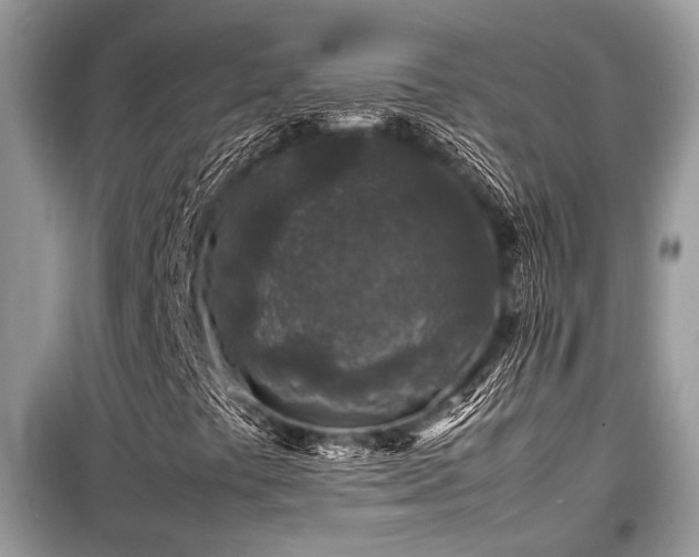 X0000099571441200805161506