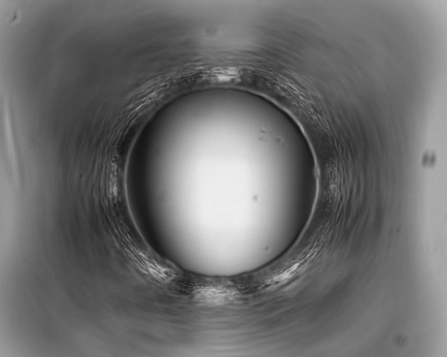 X0000099571442200805161506